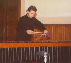 Dario Savron alla marimba