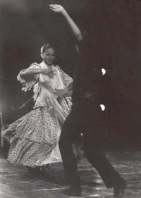 fiesta_flamenca.jpg (13213 byte)