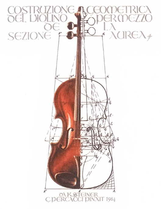 Violin