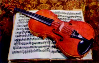 violino violino